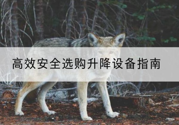 川汇升降货梯厂家推荐-*安全选购升降设备指南