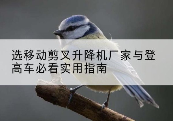川汇电动升降机厂家-选移动剪叉升降机厂家与登高车必看实用指南