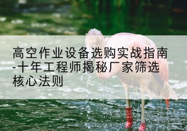 川汇剪叉式升降机厂家-高空作业设备选购实战指南-十年工程师揭秘厂家筛选核心法则